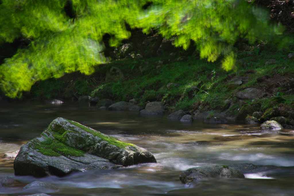 夏の渓流