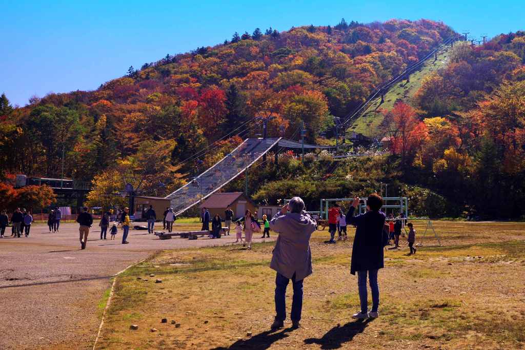 紅葉がきれいだね