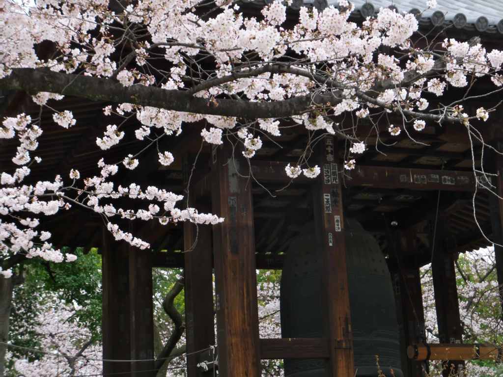 桜の鐘突堂