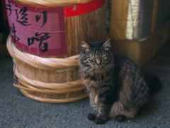 店番