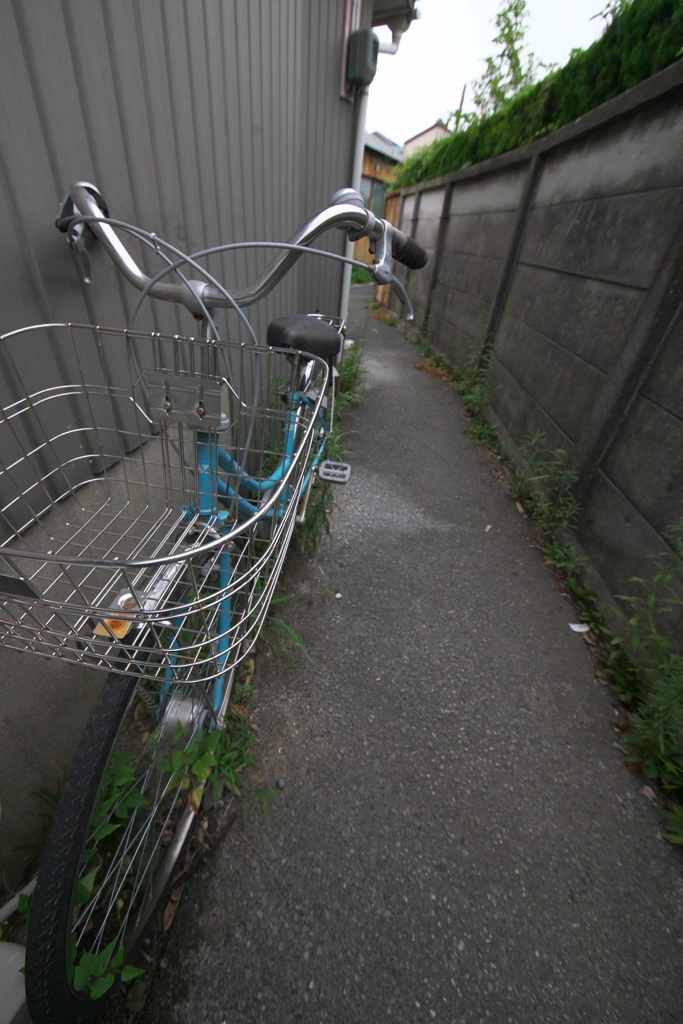 路地の風景