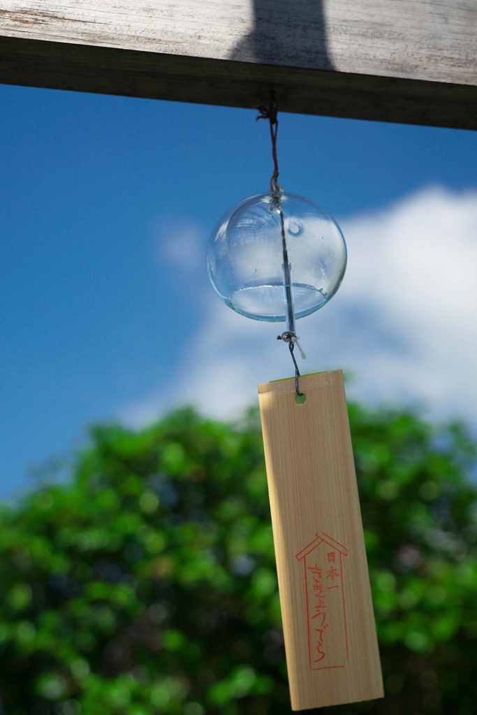 初夏の風に揺れる