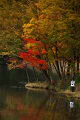 紅葉を愛でる