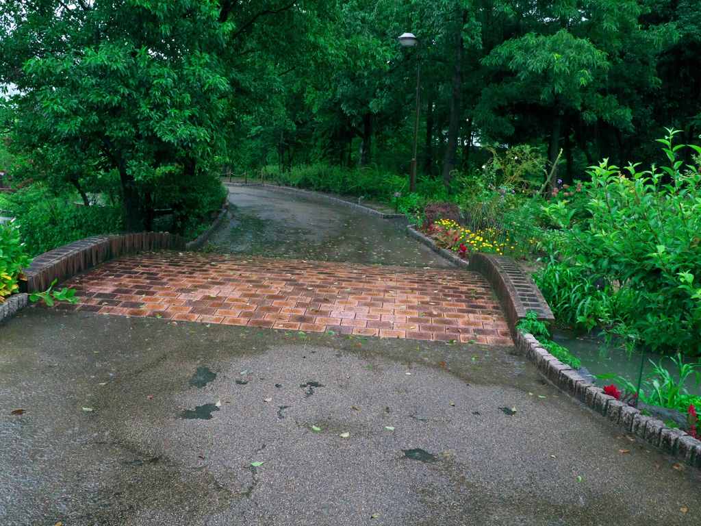 雨の散策