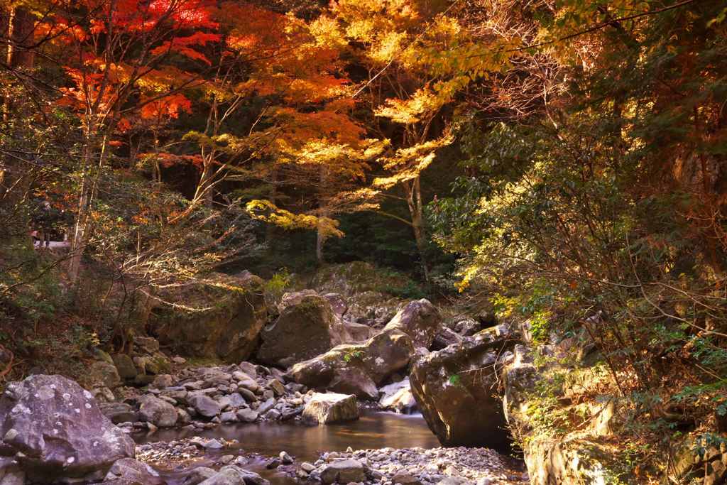 紅葉の渓谷