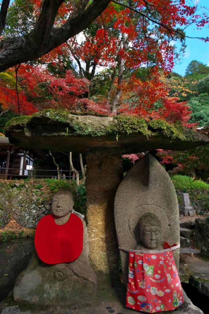 紅葉を見上げて