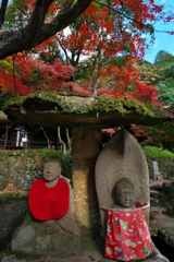 紅葉を見上げて