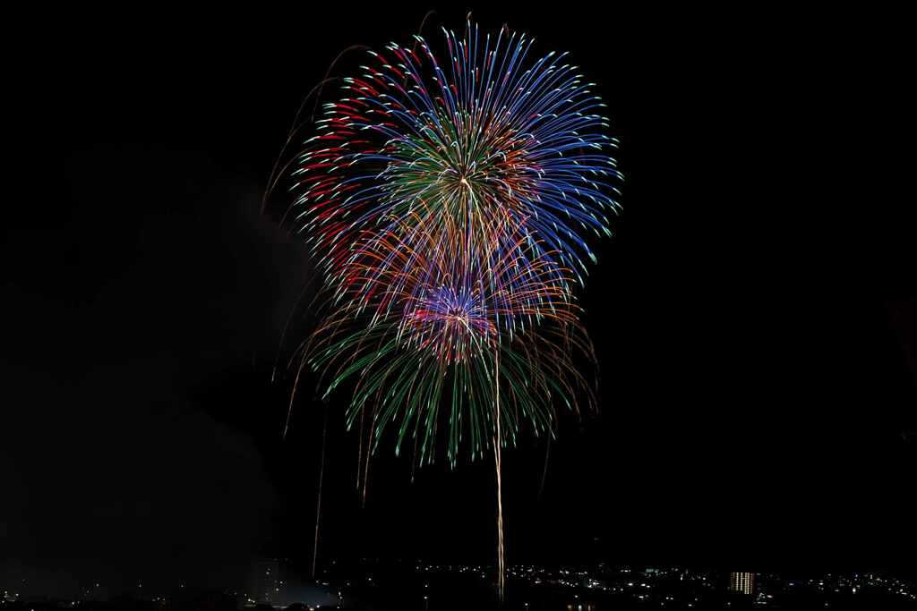 大輪の花