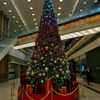クリスマスシーズン