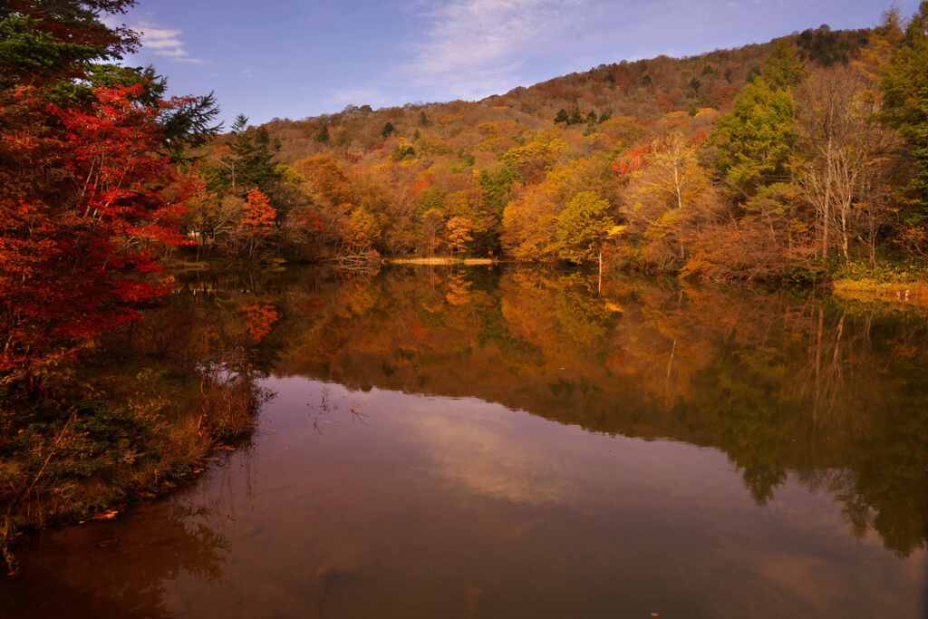 山上の池