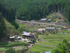 棚田の風景