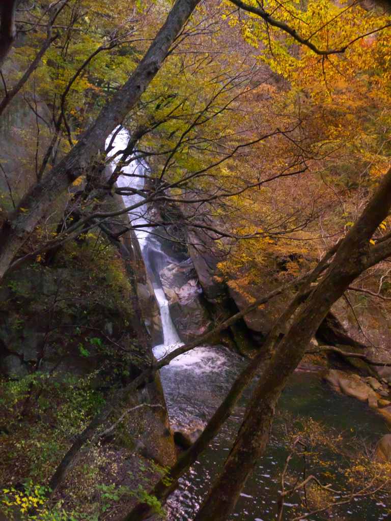 紅葉滝景