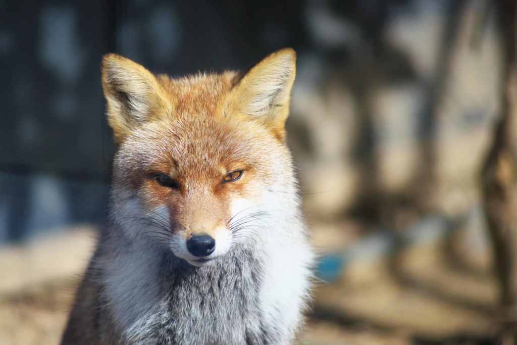 微笑みは冬の陽射し