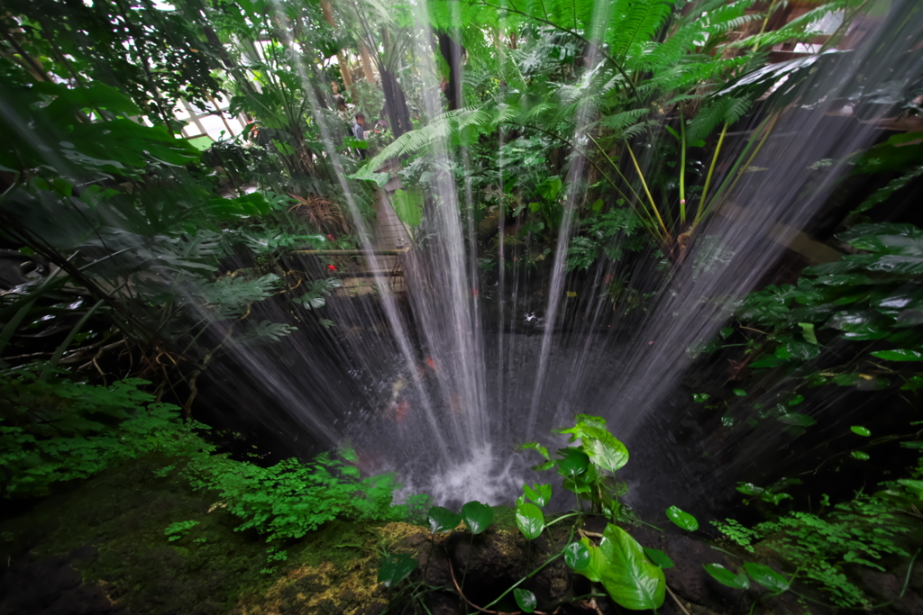 水勢