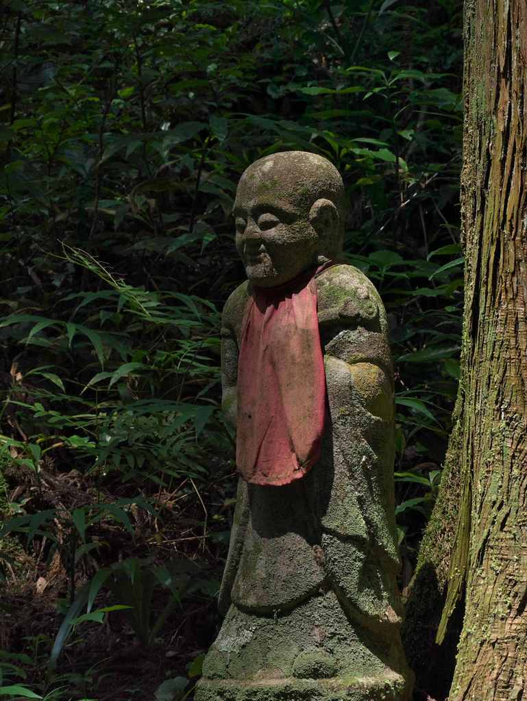 大樹の下（もと）に