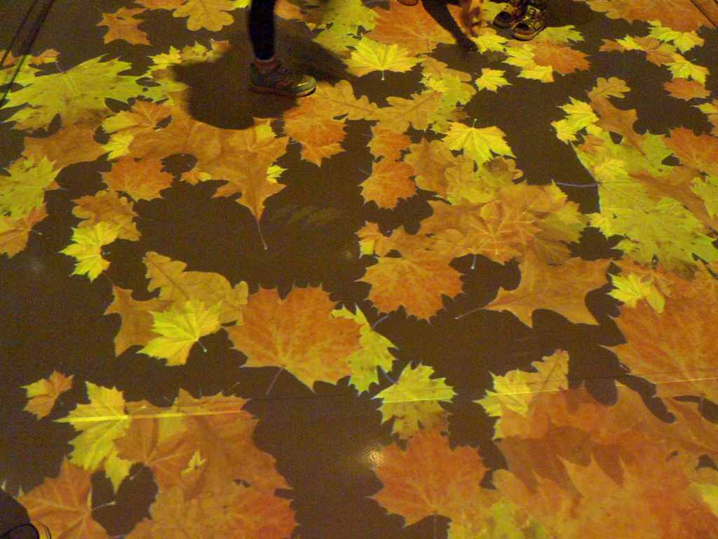 床の紅葉
