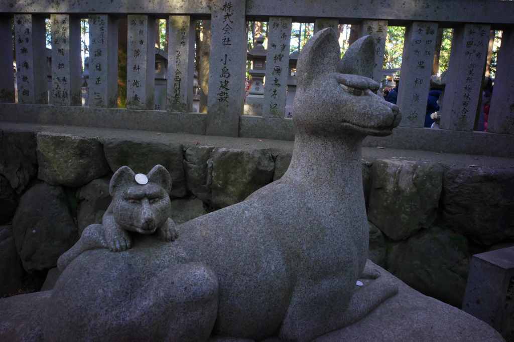 おでこにお賽銭