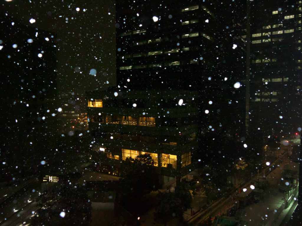 都会の雪