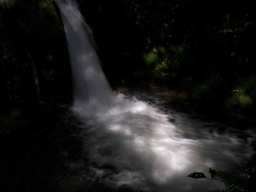 滝景