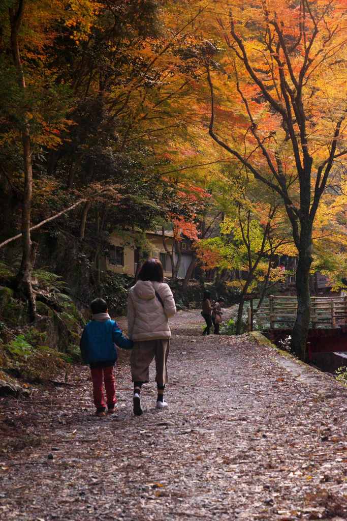 親子で紅葉散歩
