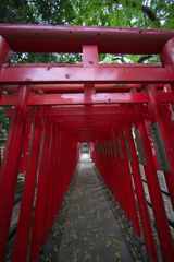 鳥居のトンネル