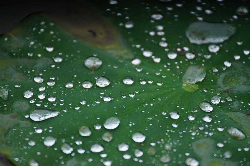 水滴