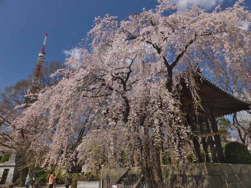 青空