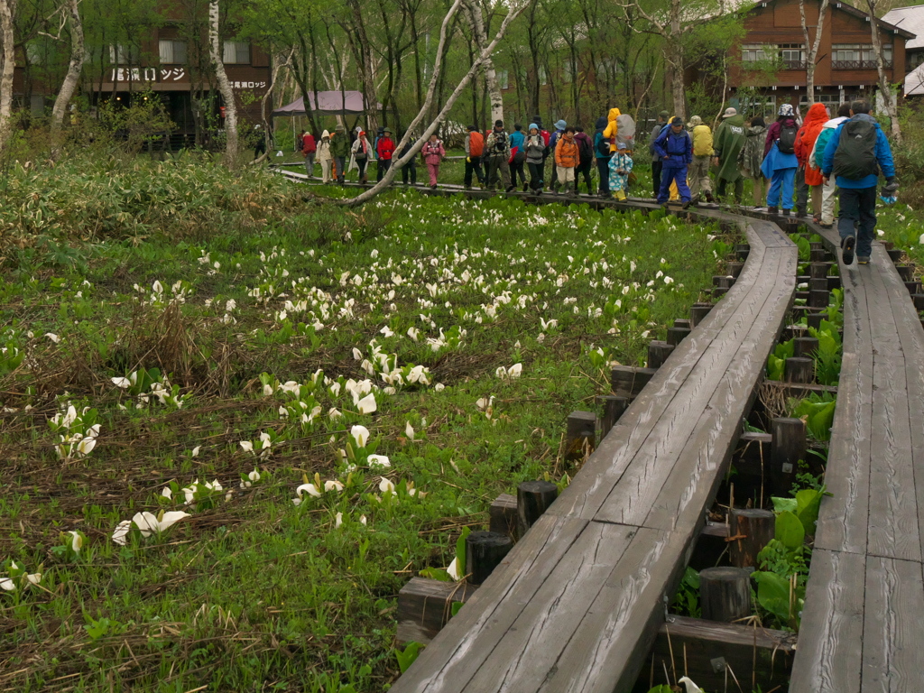 尾瀬は遠かった