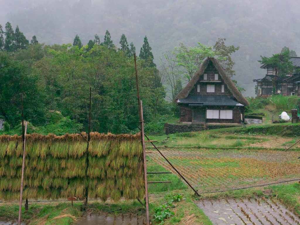 秋の合掌村