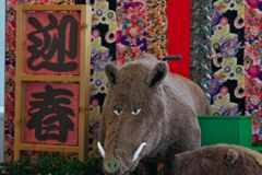 亥年
