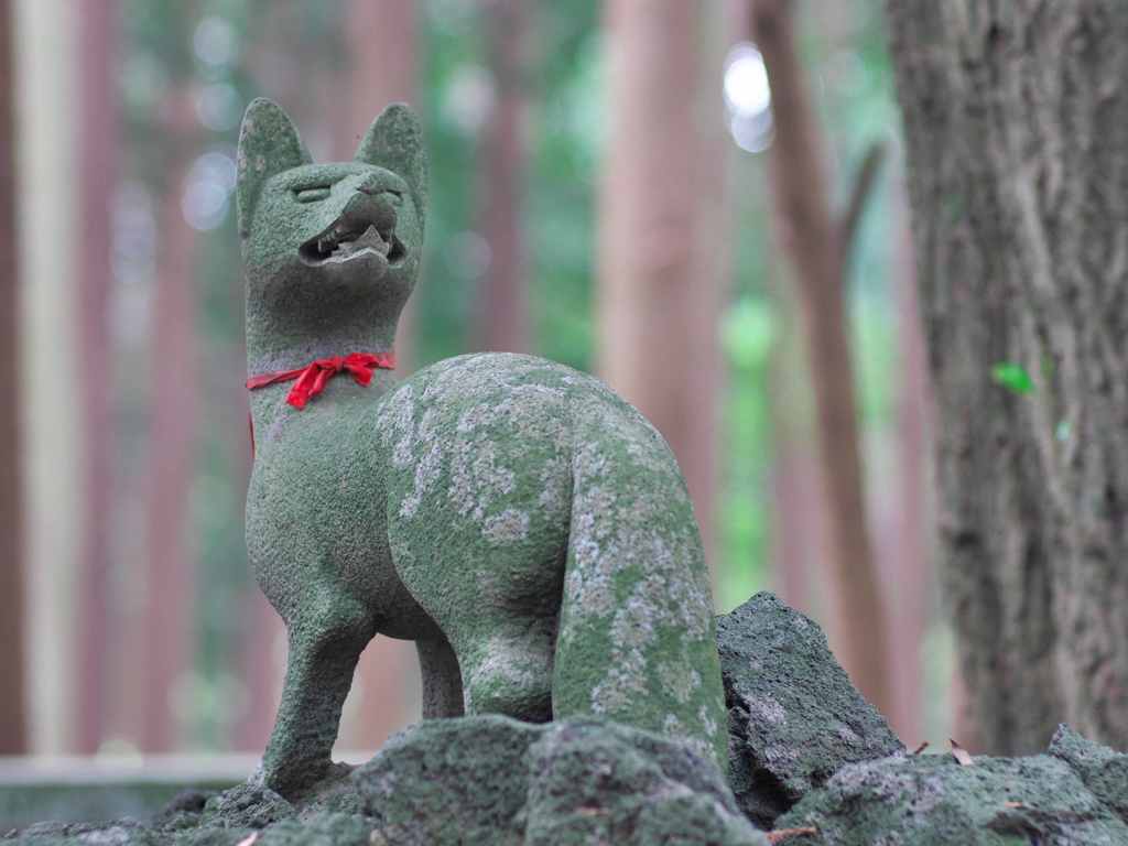 きつねふりむく