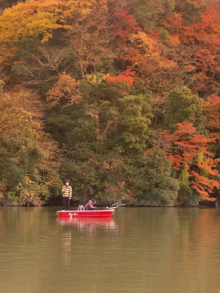 紅葉のルアーマン