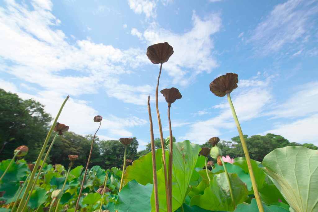 季節のなかで