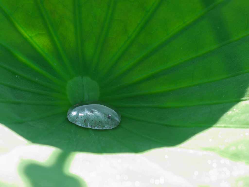雨上がり