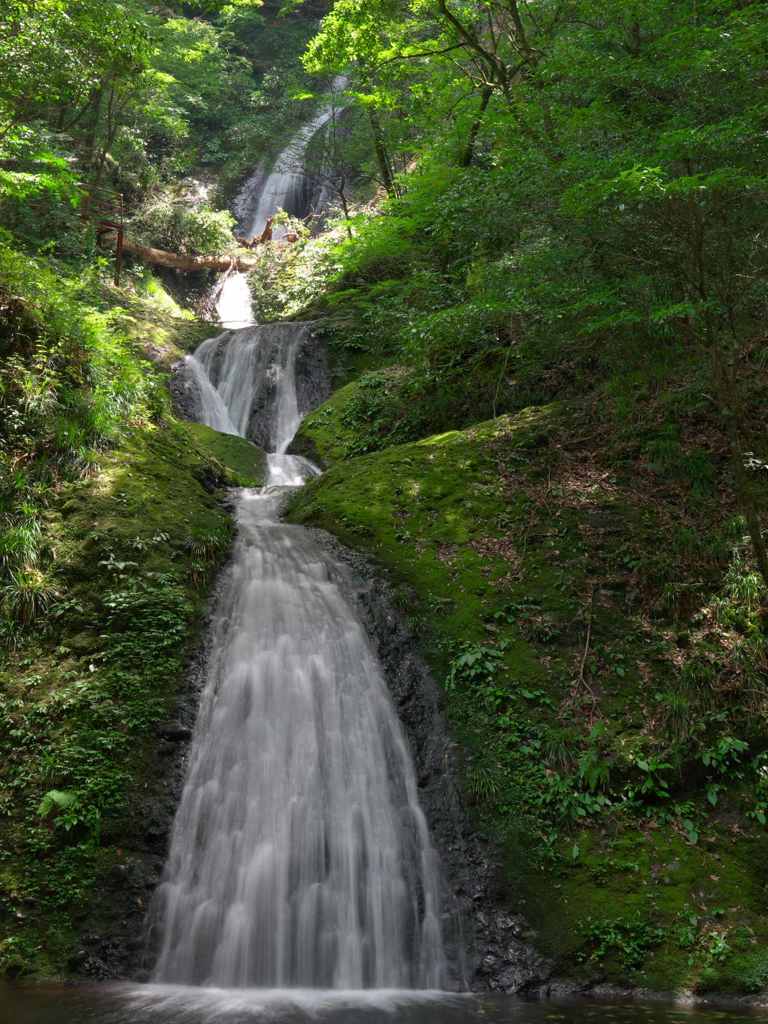 涼を求めて