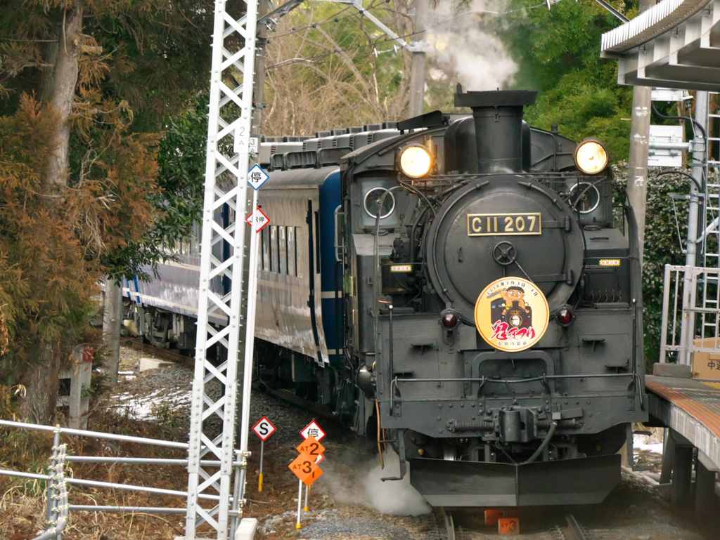 Steam Locomotion