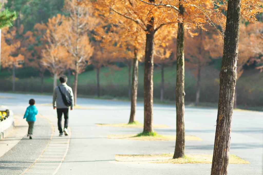 冬の並木道