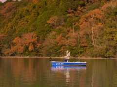 紅葉フィッシング