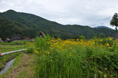飛騨高山　白川郷３