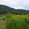 飛騨高山　白川郷３
