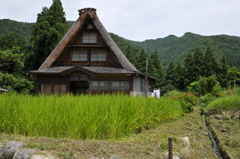 飛騨高山　五箇山２