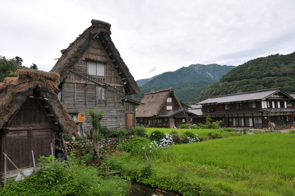 飛騨高山　白川郷８