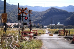 田舎風情