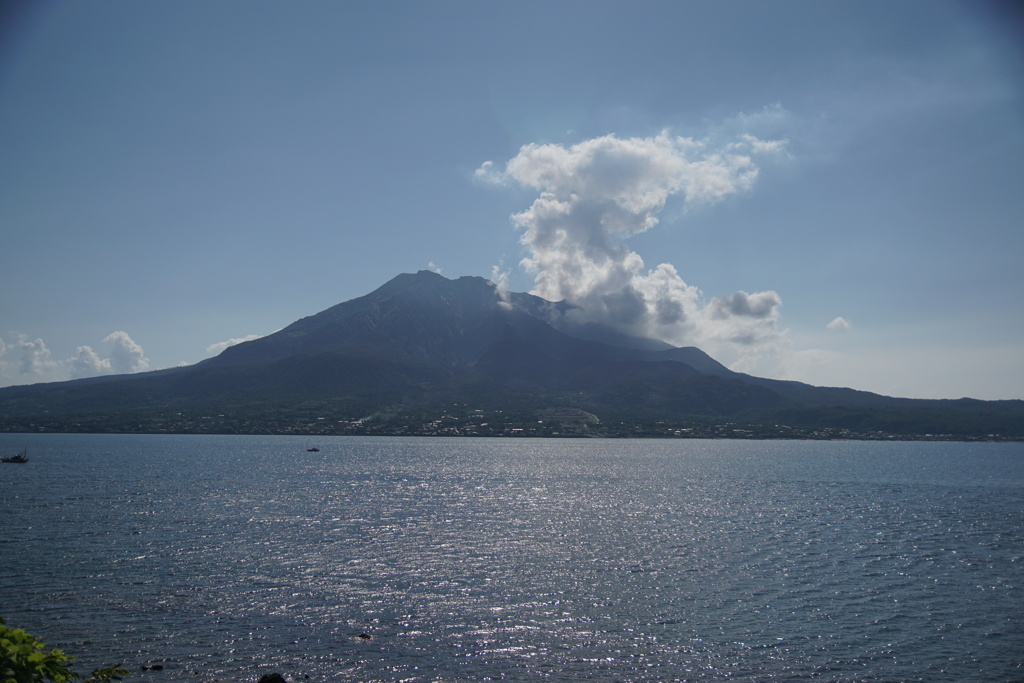 DSC04985