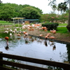 DSCF0448
