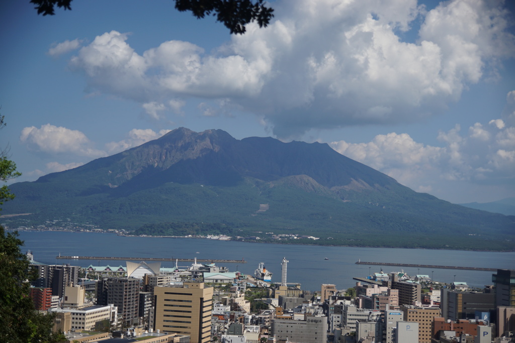 浅草善哉70　THE桜島