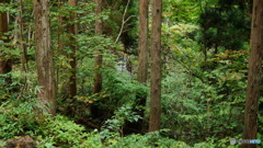 DSC04128