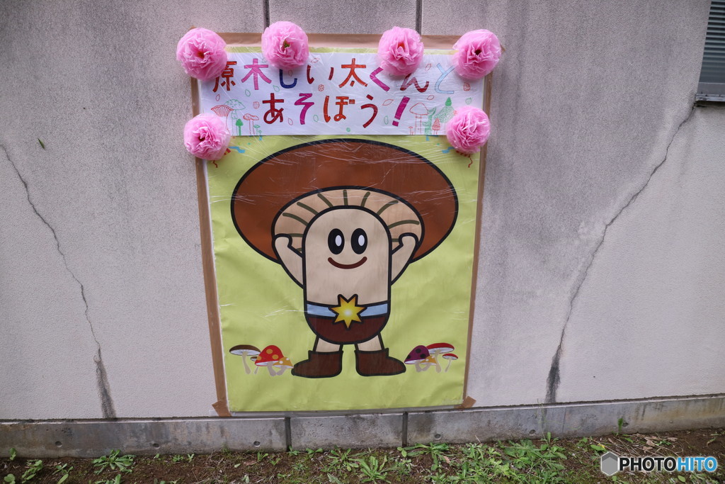 しい太くん