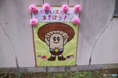 しい太くん