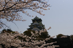 DSC02595